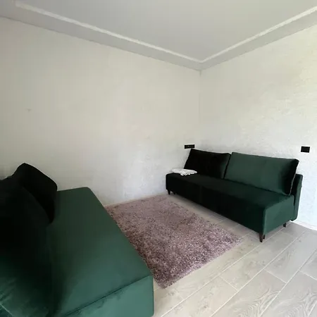 в центрі сонячного закарпаття Apartment *