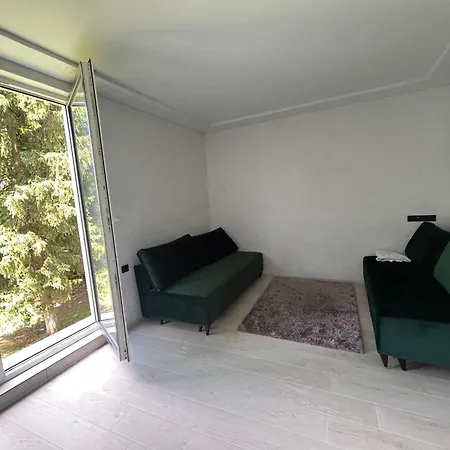 в центрі сонячного закарпаття Apartment Polyana (Transcarpathia)